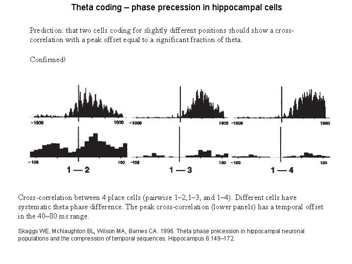 Theta coding – phase precession in hippocampal cells Prediction: that two cells coding for