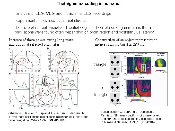Theta/gamma coding in humans -analysis of EEG, MEG and intracranial EEG recordings -experiments motivated