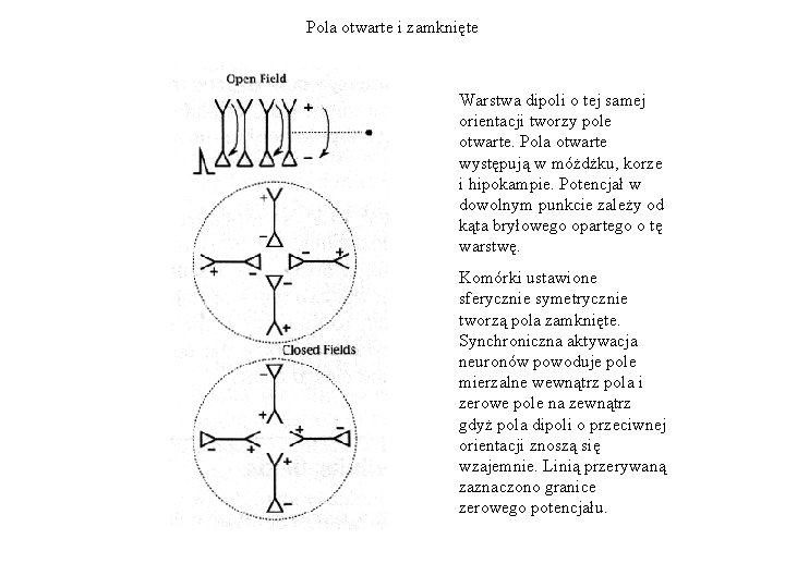 Pola otwarte i zamknięte Warstwa dipoli o tej samej orientacji tworzy pole otwarte. Pola