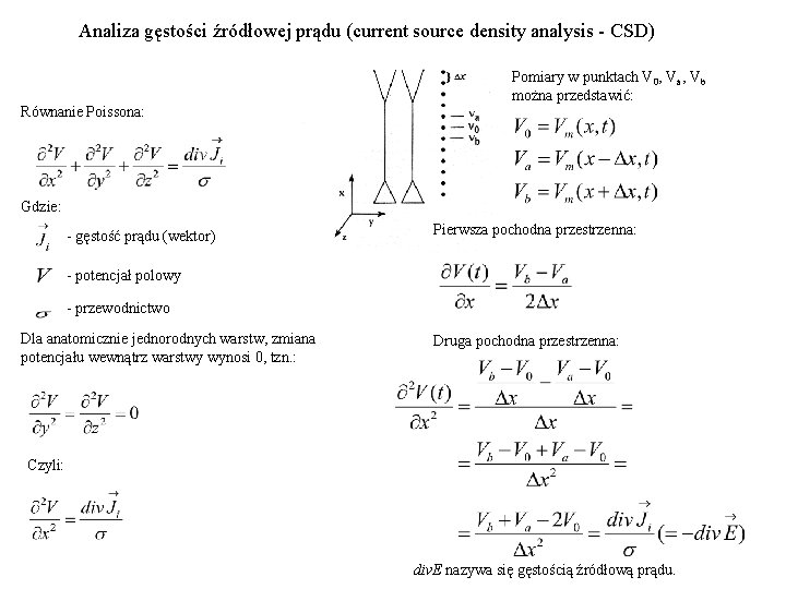 Analiza gęstości źródłowej prądu (current source density analysis - CSD) Pomiary w punktach V