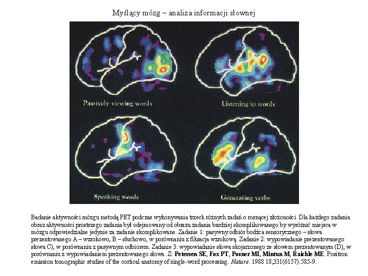 Myślący mózg – analiza informacji słownej Badanie aktywności mózgu metodą PET podczas wykonywania trzech