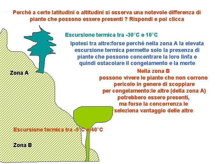 Perché a certe latitudini o altitudini si osserva una notevole differenza di piante che