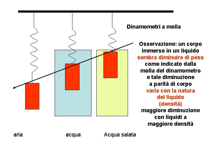 Dinamometri a molla Osservazione: un corpo immerso in un liquido sembra diminuire di peso