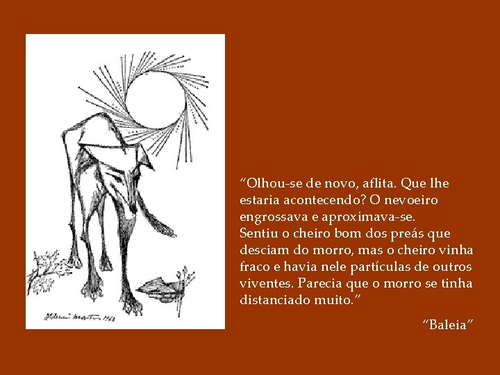 “Olhou-se de novo, aflita. Que lhe estaria acontecendo? O nevoeiro engrossava e aproximava-se. Sentiu