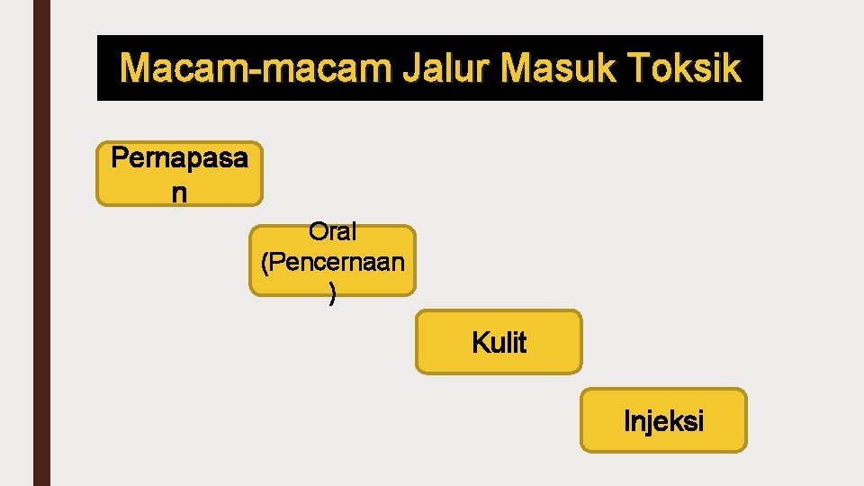 Macam macam Jalur Masuk Toksik Pernapasa n Oral (Pencernaan ) Kulit Injeksi 