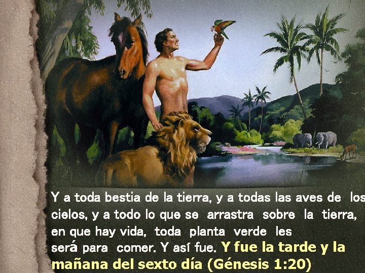 Y a toda bestia de la tierra, y a todas las aves de los