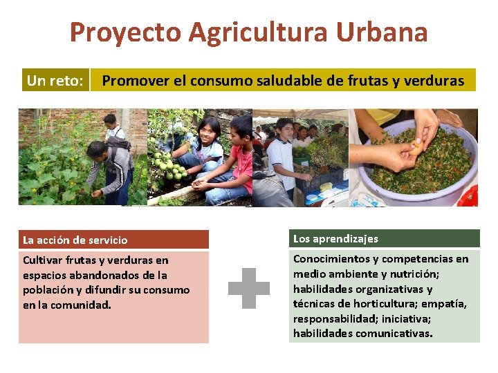 Proyecto Agricultura Urbana Un reto: Promover el consumo saludable de frutas y verduras La