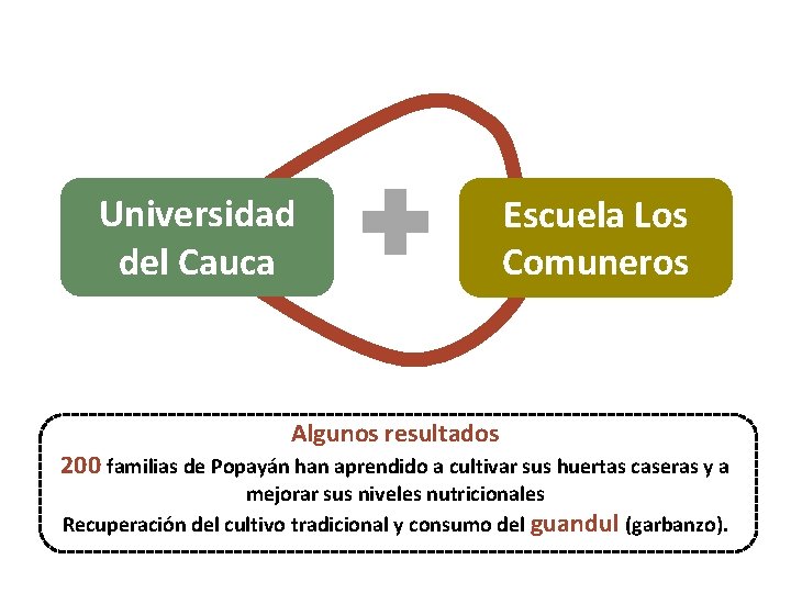 Universidad del Cauca Escuela Los Comuneros Algunos resultados 200 familias de Popayán han aprendido