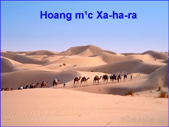 Hoang m¹c Xa-ha-ra 