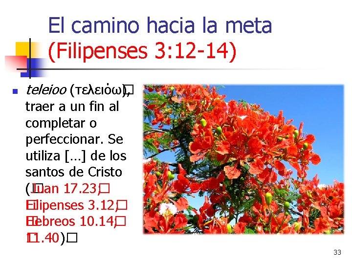 El camino hacia la meta (Filipenses 3: 12 -14) n teleioo (τελειόω� ), traer El camino hacia la meta (Filipenses 3: 12 -14) n teleioo (τελειόω� ), traer