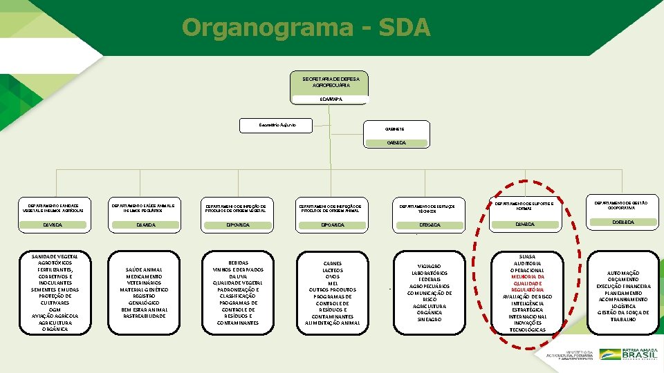 Organograma - SDA SECRETARIA DE DEFESA AGROPECUÁRIA NE SDA/MAPA Secretário Adjunto GABINETE GAB/SDA DEPARTAMENTO Organograma - SDA SECRETARIA DE DEFESA AGROPECUÁRIA NE SDA/MAPA Secretário Adjunto GABINETE GAB/SDA DEPARTAMENTO