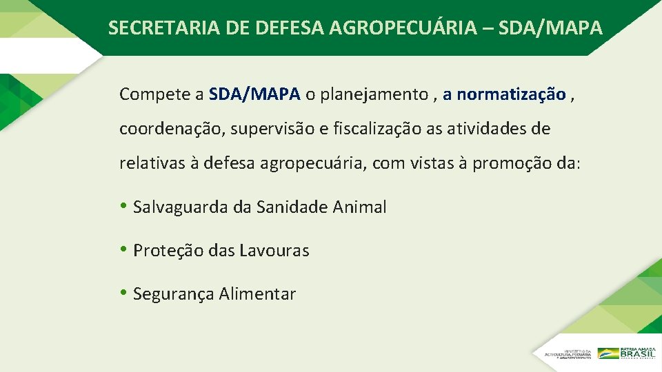 SECRETARIA DE DEFESA AGROPECUÁRIA – SDA/MAPA Compete a SDA/MAPA o planejamento , a normatização SECRETARIA DE DEFESA AGROPECUÁRIA – SDA/MAPA Compete a SDA/MAPA o planejamento , a normatização