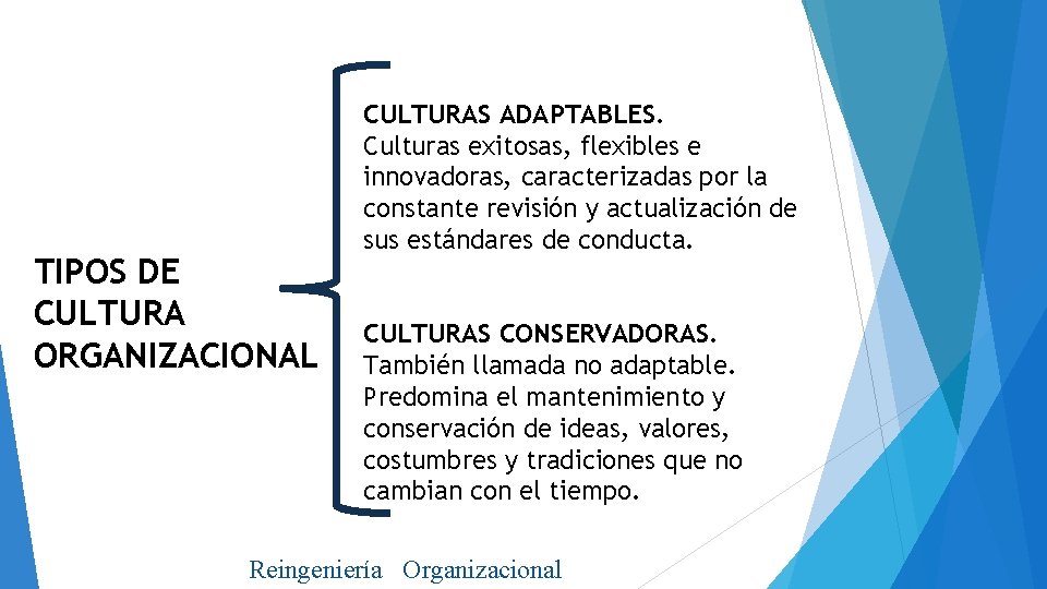 TIPOS DE CULTURA ORGANIZACIONAL CULTURAS ADAPTABLES. Culturas exitosas, flexibles e innovadoras, caracterizadas por la