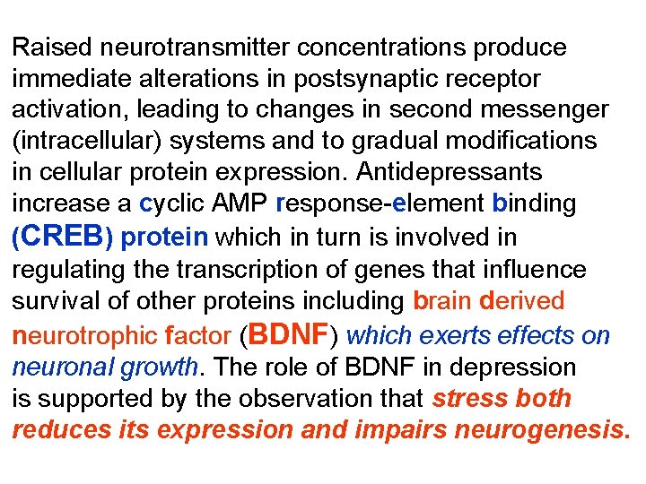 Raised neurotransmitter concentrations produce immediate alterations in postsynaptic receptor activation, leading to changes in