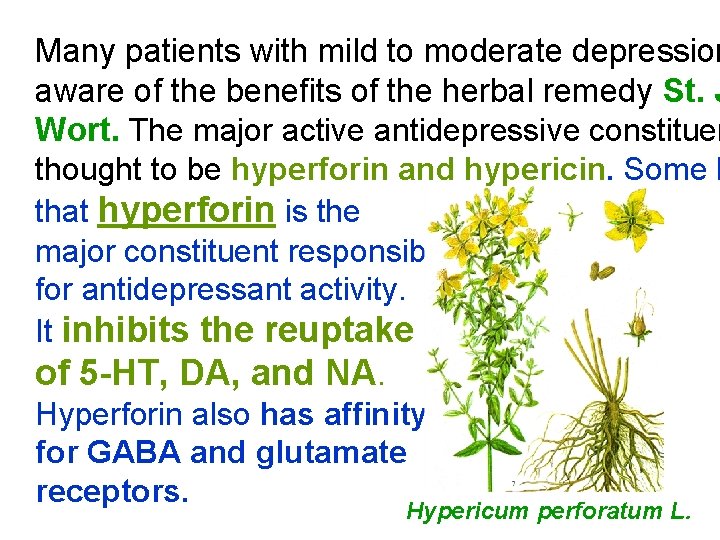 Many patients with mild to moderate depression aware of the benefits of the herbal