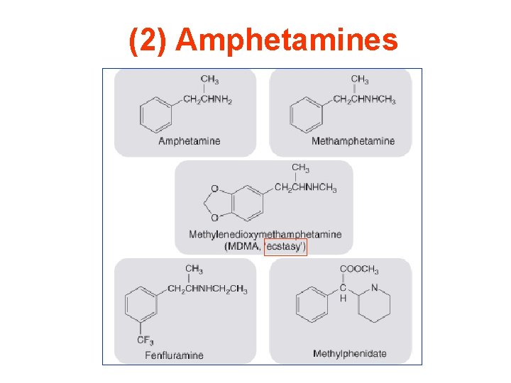 (2) Amphetamines 