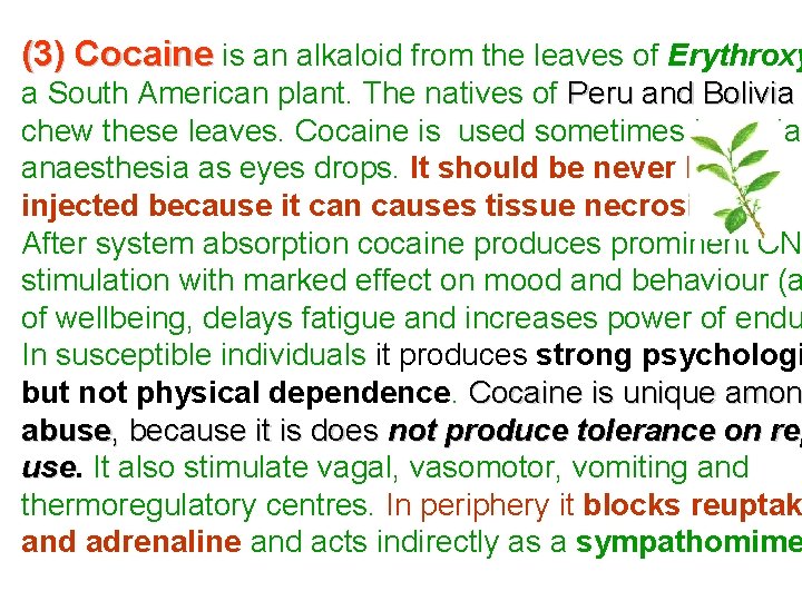 (3) Cocaine is an alkaloid from the leaves of Erythroxy a South American plant.