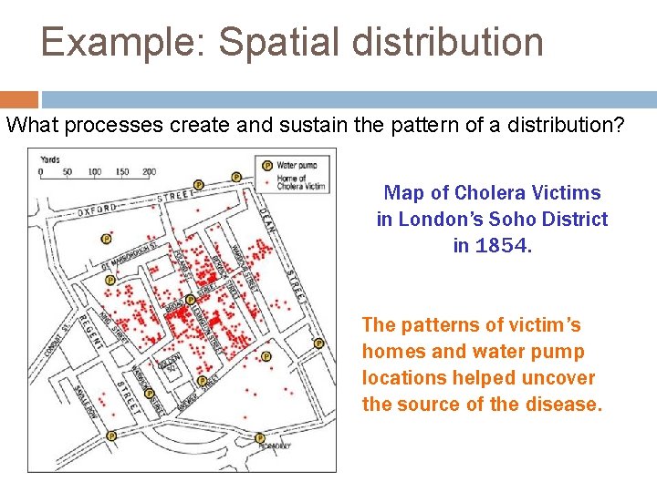Example: Spatial distribution What processes create and sustain the pattern of a distribution? Map