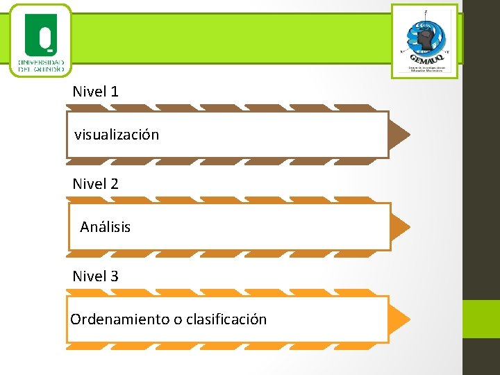 Nivel 1 visualización Nivel 2 Análisis Nivel 3 Ordenamiento o clasificación 