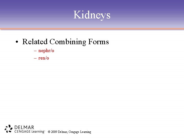 Kidneys • Related Combining Forms – nephr/o – ren/o © 2009 Delmar, Cengage Learning