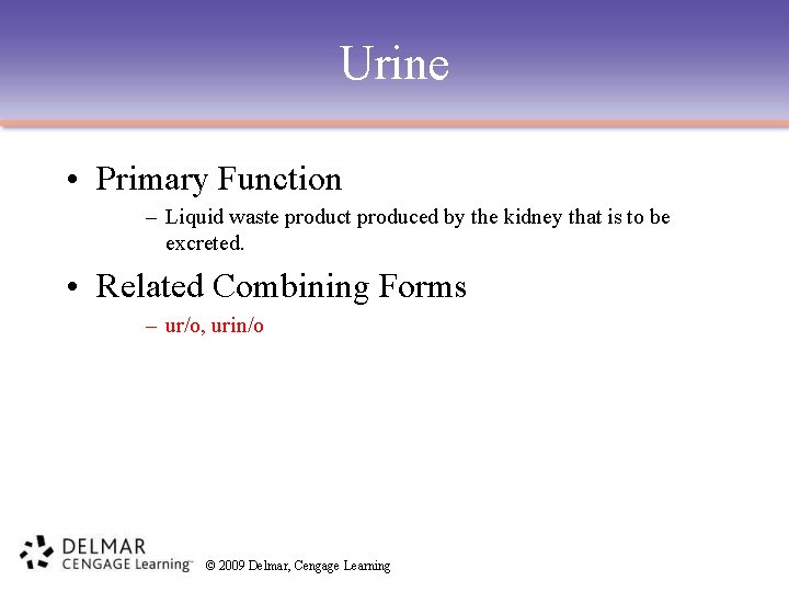 Urine • Primary Function – Liquid waste product produced by the kidney that is