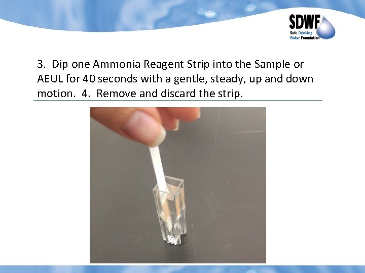 3. Dip one Ammonia Reagent Strip into the Sample or AEUL for 40 seconds