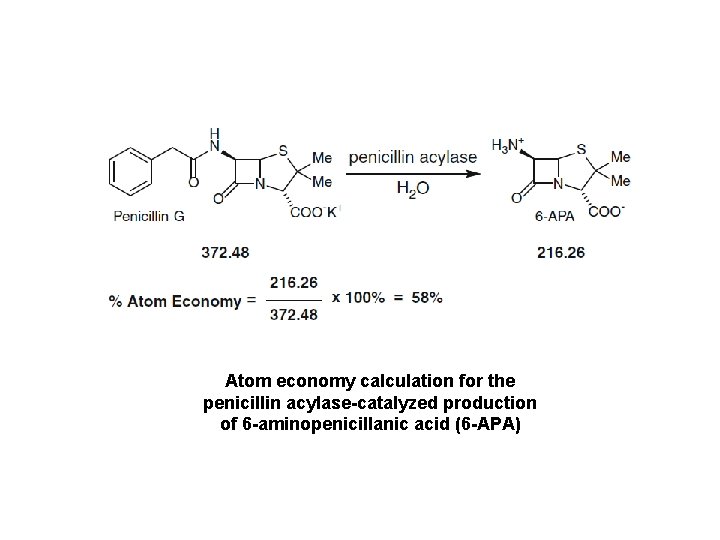 Atom economy calculation for the penicillin acylase-catalyzed production of 6 -aminopenicillanic acid (6 -APA)