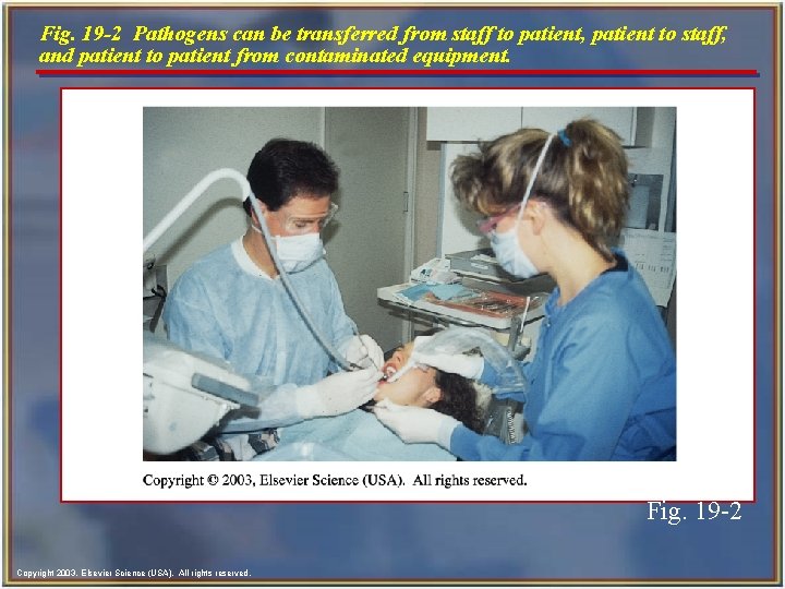 Fig. 19 -2 Pathogens can be transferred from staff to patient, patient to staff,