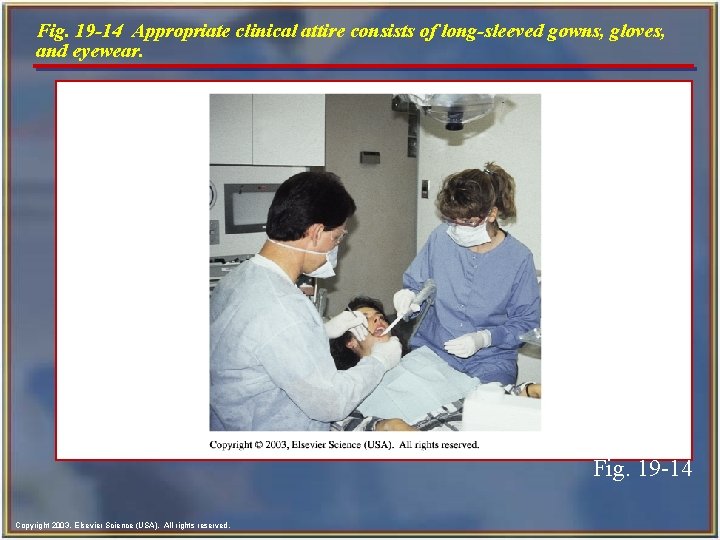 Fig. 19 -14 Appropriate clinical attire consists of long-sleeved gowns, gloves, and eyewear. Fig.