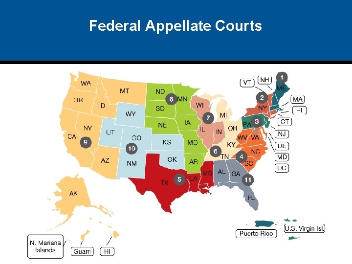 Federal Appellate Courts 