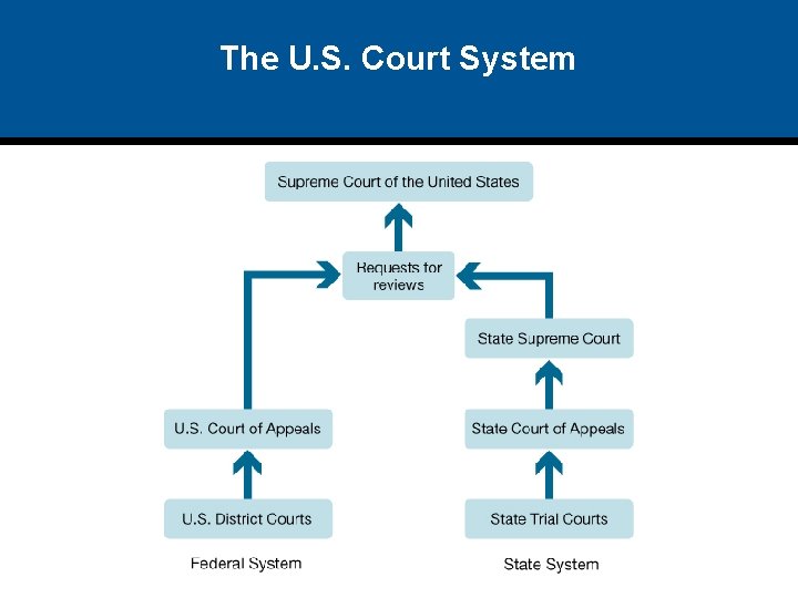 The U. S. Court System 