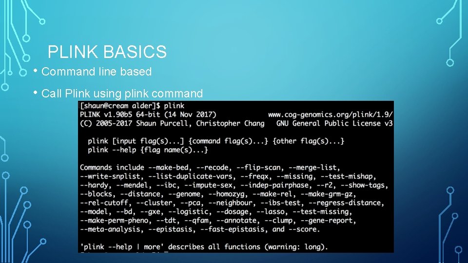 PLINK BASICS • Command line based • Call Plink using plink command 