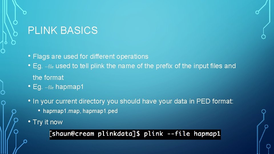 PLINK BASICS • Flags are used for different operations • Eg. --file used to
