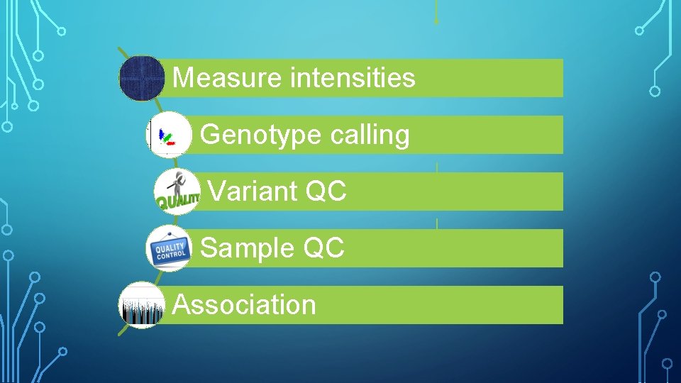 Measure intensities Genotype calling Variant QC Sample QC Association 