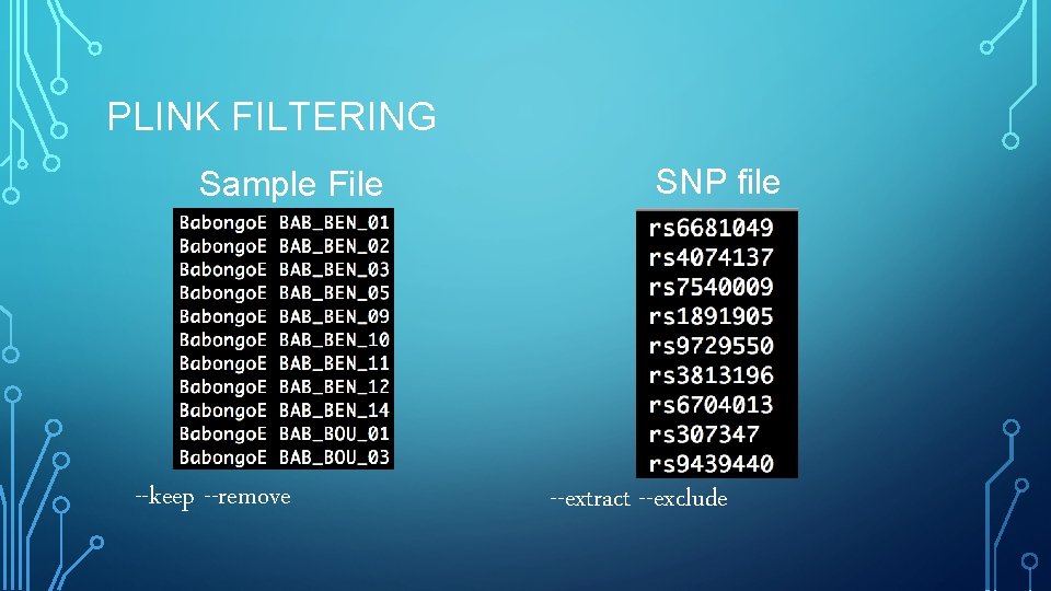 PLINK FILTERING Sample File --keep --remove SNP file --extract --exclude 