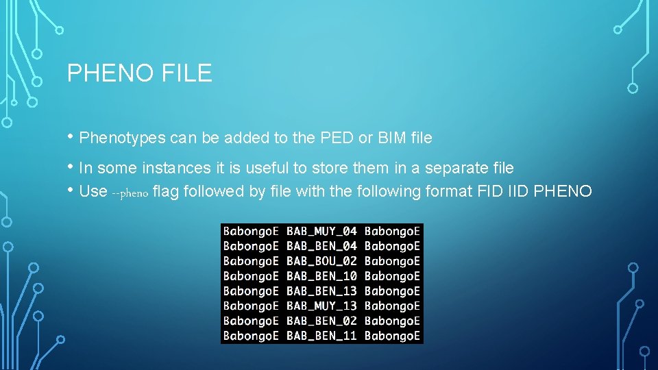 PHENO FILE • Phenotypes can be added to the PED or BIM file •