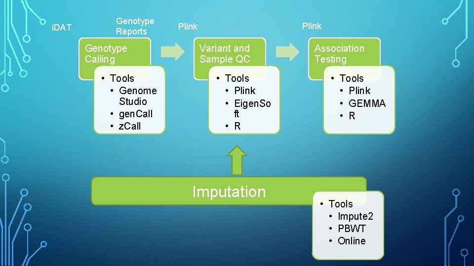 i. DAT Genotype Reports Genotype Calling • Tools • Genome Studio • gen. Call