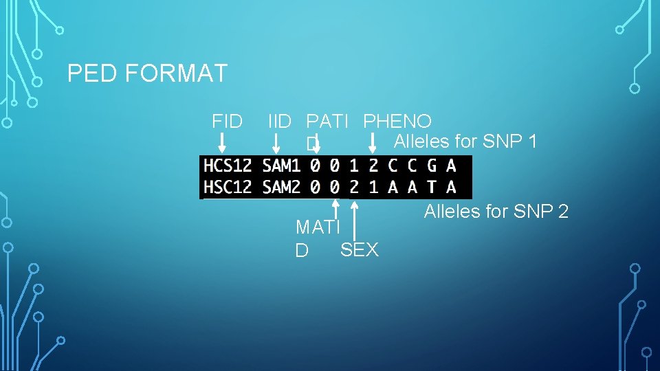 PED FORMAT FID IID PATI PHENO Alleles for SNP 1 D MATI SEX D