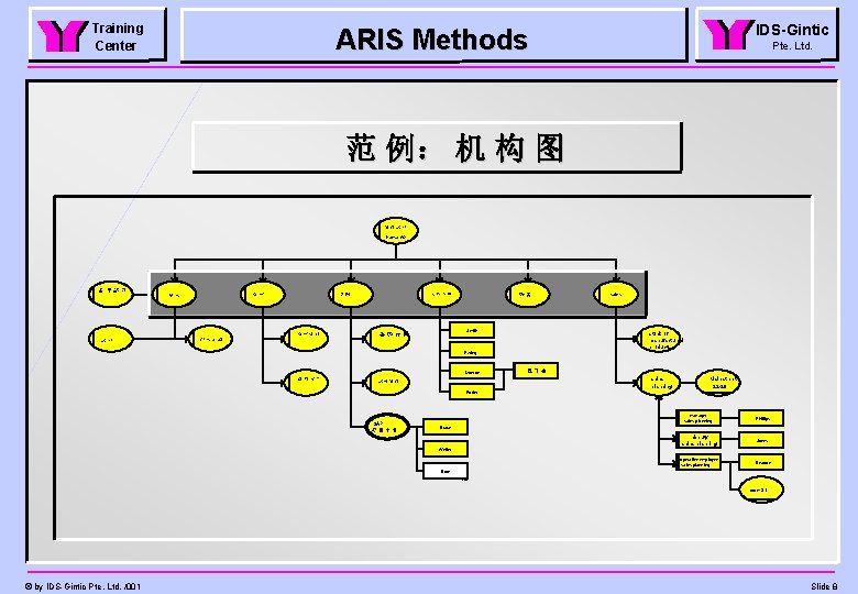 Training Center IDS-Gintic ARIS Methods Pte. Ltd. 范 例： 机 构 图 管理部门 Hansa