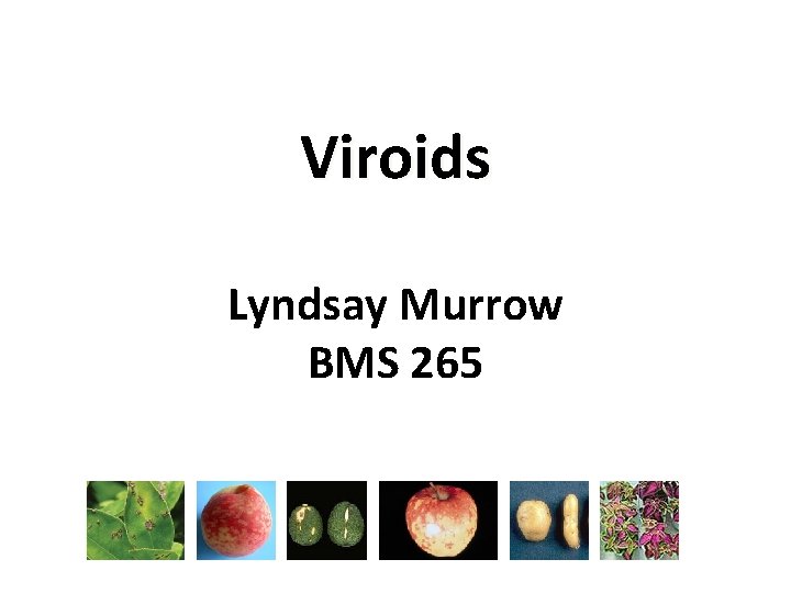 Viroids Lyndsay Murrow BMS 265 