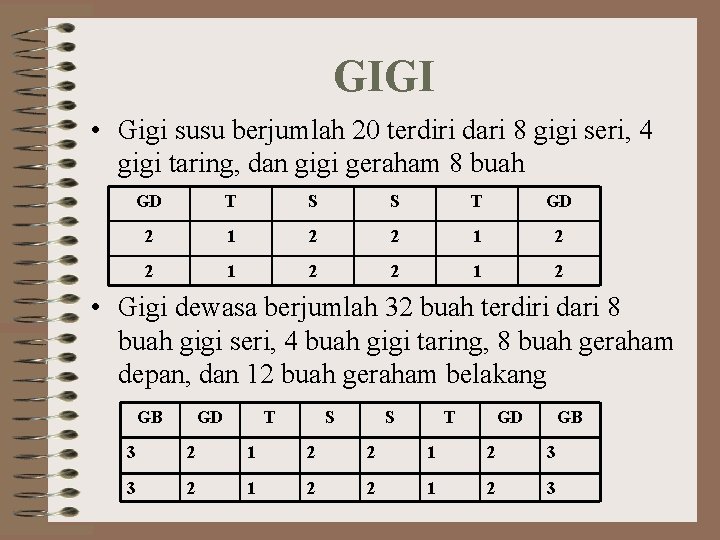 GIGI • Gigi susu berjumlah 20 terdiri dari 8 gigi seri, 4 gigi taring,