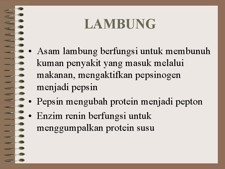 LAMBUNG • Asam lambung berfungsi untuk membunuh kuman penyakit yang masuk melalui makanan, mengaktifkan