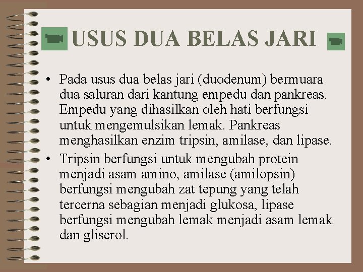 USUS DUA BELAS JARI • Pada usus dua belas jari (duodenum) bermuara dua saluran