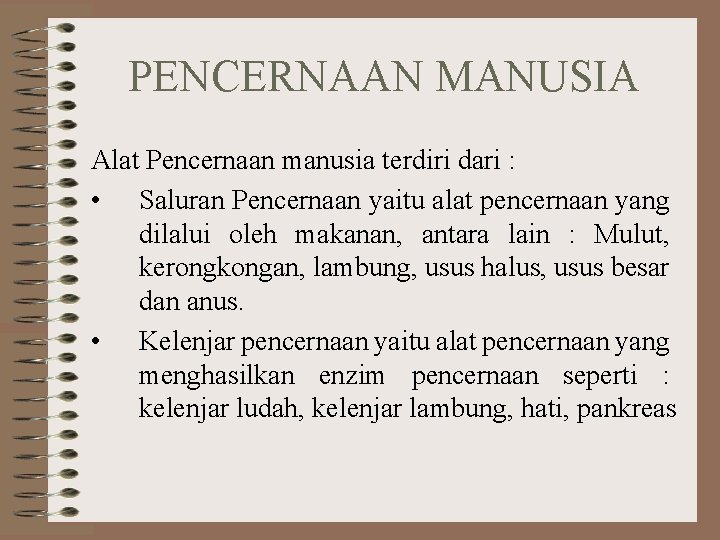 PENCERNAAN MANUSIA Alat Pencernaan manusia terdiri dari : • Saluran Pencernaan yaitu alat pencernaan