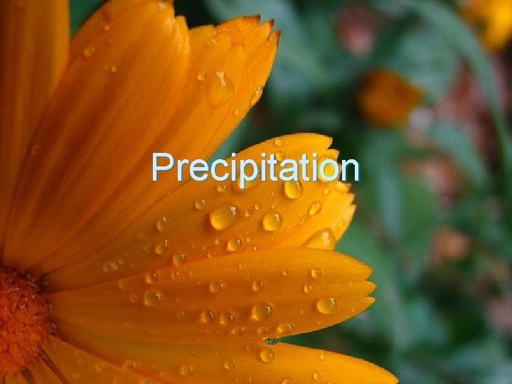 Precipitation 