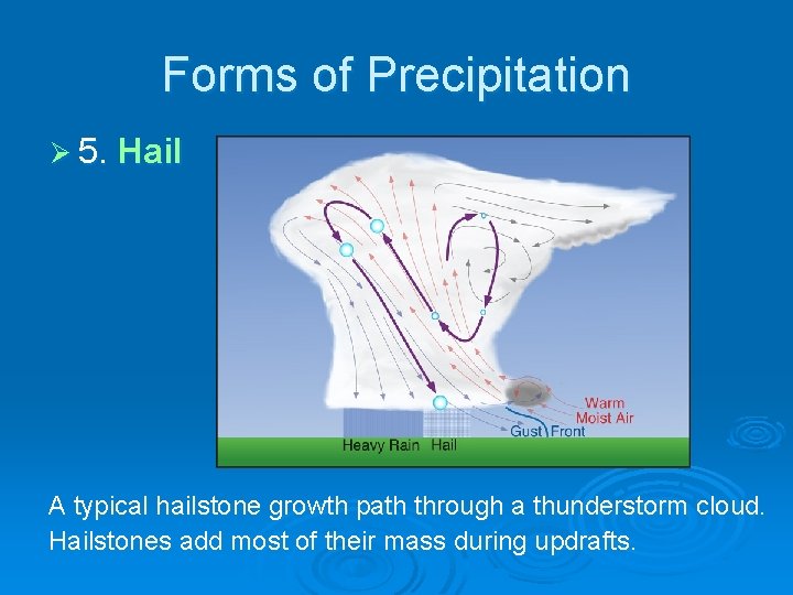 Forms of Precipitation Ø 5. Hail A typical hailstone growth path through a thunderstorm