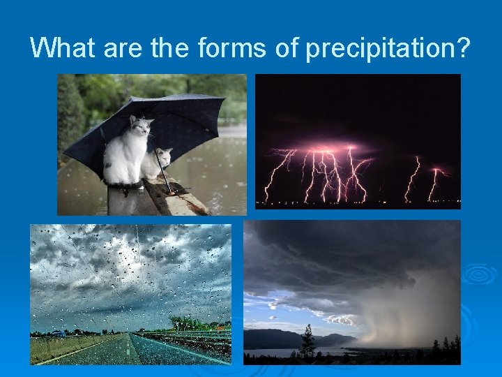 What are the forms of precipitation? 
