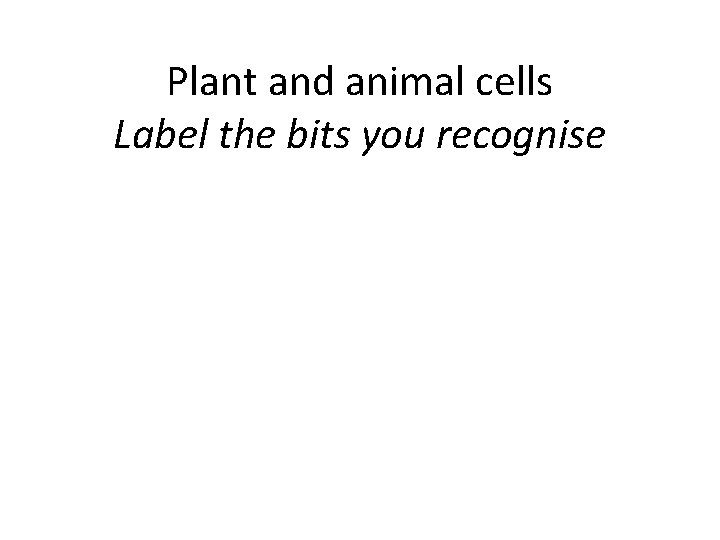 Plant and animal cells Label the bits you recognise 