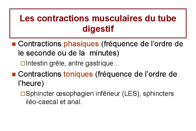Les contractions musculaires du tube digestif n Contractions phasiques (fréquence de l’ordre de le