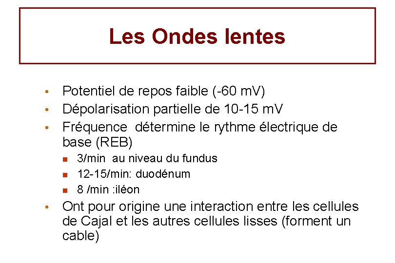 Les Ondes lentes Potentiel de repos faible (-60 m. V) • Dépolarisation partielle de